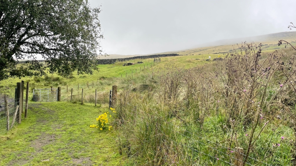 Substantial Plot of Well Located Grazing Land